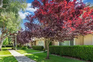 10019 Dove Oak Ct, Cupertino, CA 95014 - Photo 34
