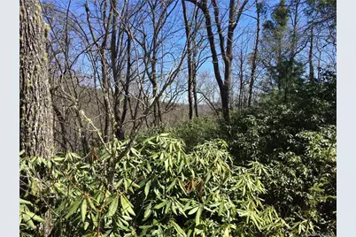 M80 Pine Mountain Trail #M80, Brevard, NC 28712 - Photo 1