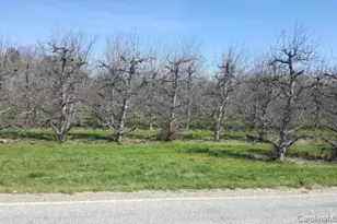 766 McMurray Rd, Hendersonville, NC 28739 - Photo 1