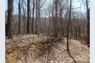 00 Gentry Farm Road, Spring Creek, NC 28743 - Photo 1