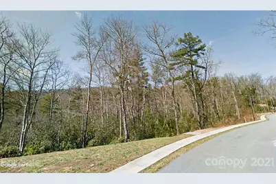 Tbd Springhouse Trail #10, Brevard, NC 28712 - Photo 1