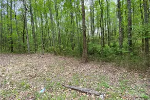 00 Sunrise Trail, Lincolnton, NC 28092 - Photo 1