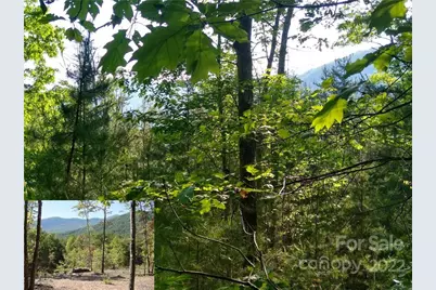 Lot 221 Davids Drive, Lake Lure, NC 28746 - Photo 1