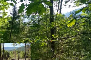 Lot 221 Davids Dr, Lake Lure, NC 28746 - Photo 1