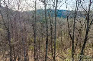 Lot 395 Roaring Fork Ln, Hendersonville, NC 28739 - Photo 1