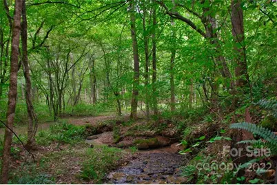 0 Desota Ridge #366, Rutherfordton, NC 28139 - Photo 1