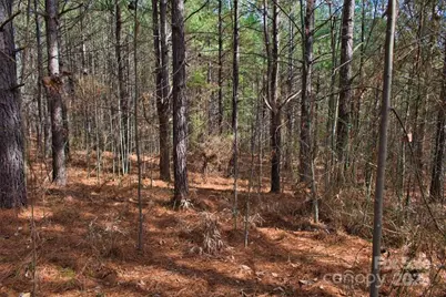 0 Bitterroot Circle #224, Rutherfordton, NC 28139 - Photo 1