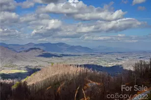 +/- 150 Acres Moondance Trail, Black Mountain, NC 28711 - Photo 1