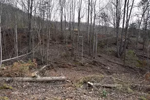 2522 Michael Ct, Hudson, NC 28638 - Photo 1