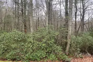 Tbd Salola Ln, Brevard, NC 28712 - Photo 1