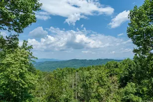 000 Skyway Dr, Hendersonville, NC 28739 - Photo 1