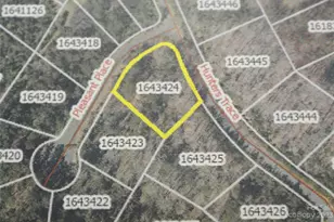 Lot 126 Pleasant Pl, Rutherfordton, NC 28139 - Photo 1