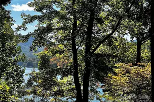 302 Ridge Rd, Lake Lure, NC 28746 - Photo 1