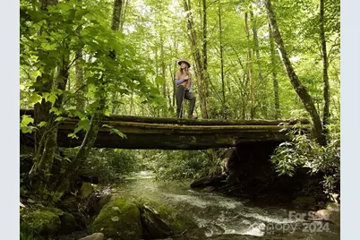 210 Side Cut Way #211, Sylva, NC 28779 - Photo 22