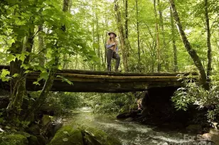 210 Side Cut Wy, Sylva, NC 28779 - Photo 22