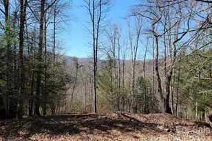 000 Elise Way, Waynesville, NC 28785 - Photo 1