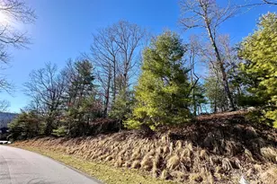 204 Tom Fazio Trce, Hendersonville, NC 28739 - Photo 1