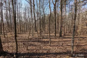 2425 Jim McCarter Road S, York, SC 29745 - Photo 1