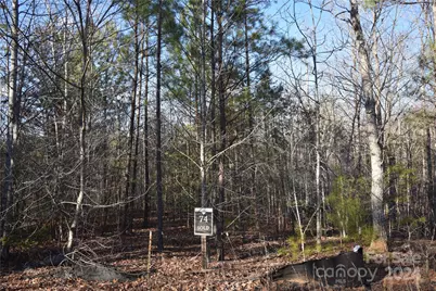 Lot 74 Tayberry Drive, Nebo, NC 28761 - Photo 1