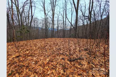 00 Adcock Mountain Road, Waynesville, NC 28785 - Photo 1
