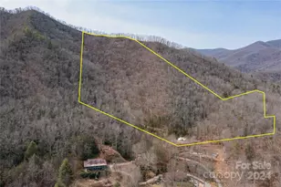 48 Houdini Trl, Canton, NC 28716 - Photo 1