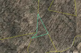 000 Rocky Fork Rd, Burnsville, NC 28714 - Photo 1