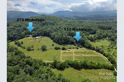 273 & 133 Nicholson Lane, Etowah, NC 28729 - Photo 1