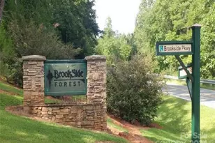 00 Brookside Pkwy, Lake Lure, NC 28746 - Photo 1