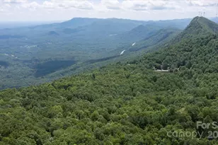 99999 Arrowhead Trail, Columbus, NC 28722 - Photo 1