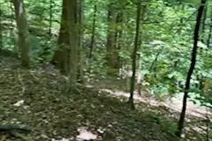 0 Cherokee Circle, Tryon, NC 28782 - Photo 1