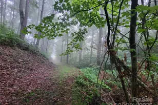 2100 Chambers Mountain Rd, Clyde, NC 28721 - Photo 1