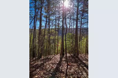 Tbd Pine Needle Lane, Nebo, NC 28761 - Photo 1