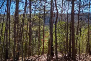 Tbd Pine Needle Ln, Nebo, NC 28761 - Photo 1