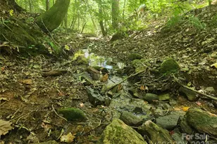 1762 Russell Gap Rd, Moravian Falls, NC 28654 - Photo 1