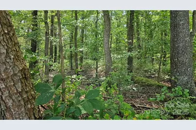 1450 Pork Road, Peachland, NC 28133 - Photo 1