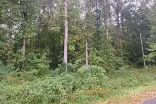 Tbd Wildwood Ln, Troy, NC 27371 - Photo 1