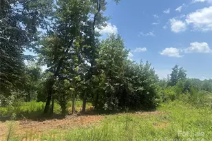1850 Furnace Road Ext, Lincolnton, NC 28092 - Photo 1