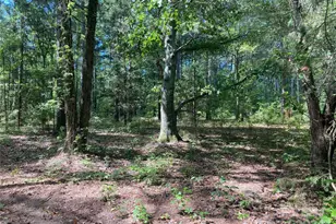 32 Sportsman Rd, Morven, NC 28119 - Photo 1