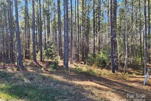 3331 Sherman Dr, Lancaster, SC 29720 - Photo 1