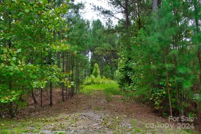 0 Hearthstone Drive #100, Union Mills, NC 28167 - Photo 1