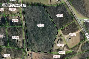 6060 Walker Rd, Nebo, NC 28761 - Photo 1