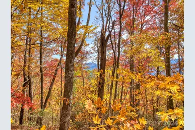 0000 Eagles Nest Road, Waynesville, NC 28786 - Photo 1