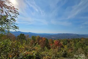 9999 Barn Cove Rd, Clyde, NC 28721 - Photo 1