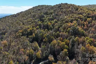 Tbd Valley Moretz Rd, Deep Gap, NC 28618 - Photo 1