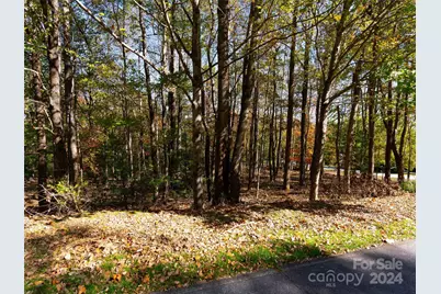 308 Piney Knoll Lane #189, Hendersonville, NC 28739 - Photo 1