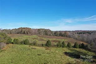 4328 C & B Farm Rd, Conover, NC 28613 - Photo 1