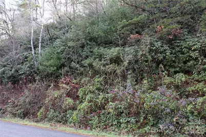 Tbd Stamey Creek Road, Brevard, NC 28712 - Photo 1