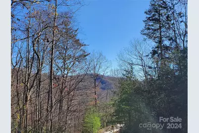 336 Falling Leaves Lane #41, Hendersonville, NC 28792 - Photo 1