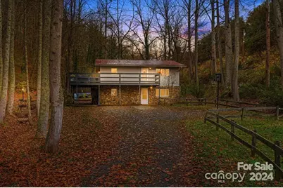 730 Silver Mill Road, Marshall, NC 28753 - Photo 1