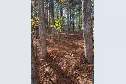 1121 Horton Road, Wadesboro, NC 28170 - Photo 1